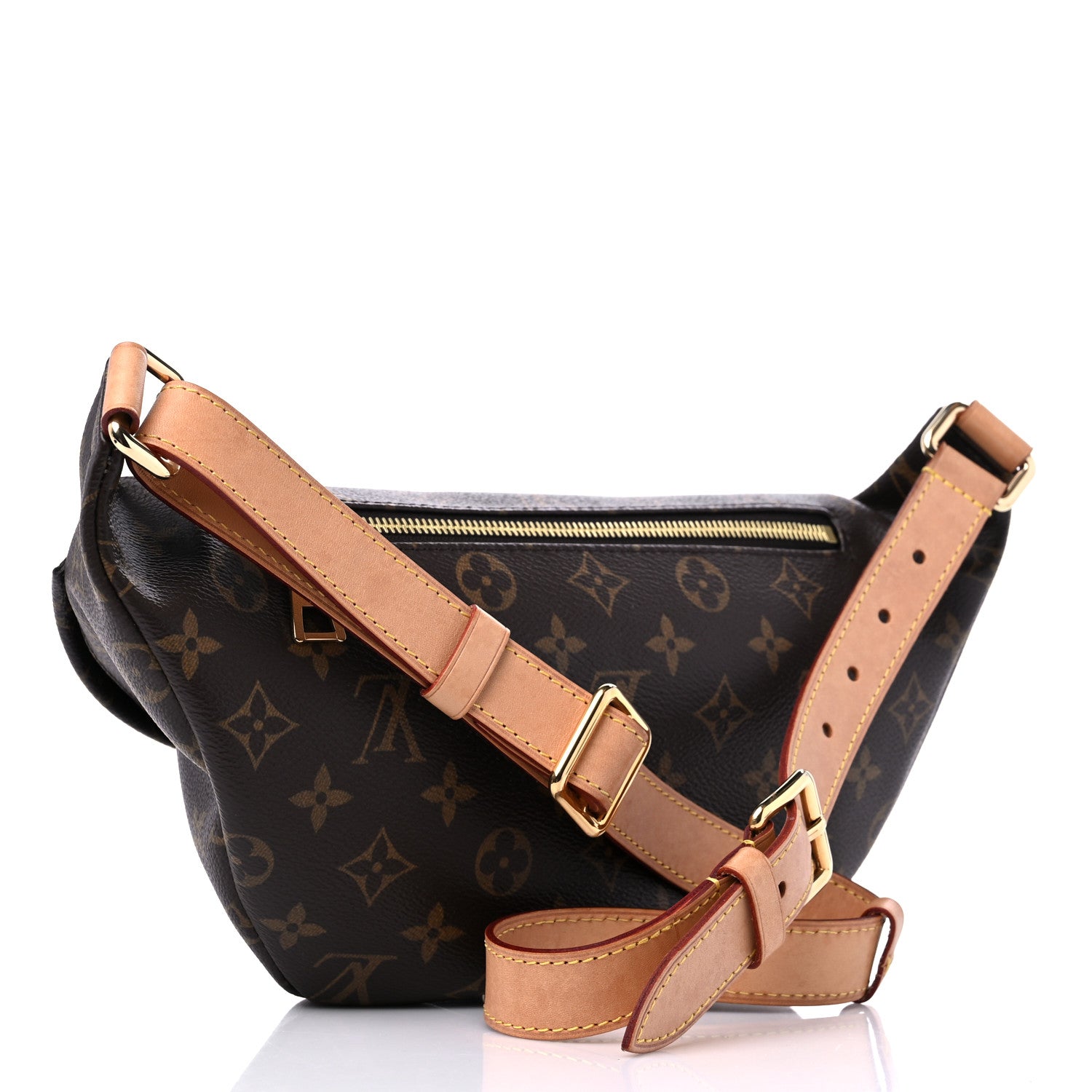 Louis Vuitton Monogram Bumbag 3 of 14