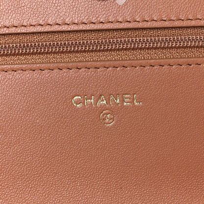 Chanel Lambskin Quilted Chanel 19 Wallet On Chain WOC Brown 6 of 12