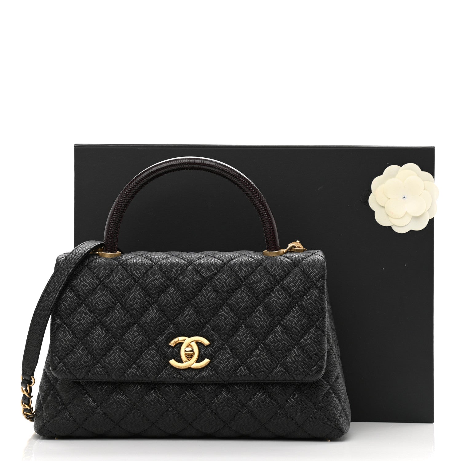 Chanel Caviar Lizard Quilted Small Coco Handle Flap Black 11 of 11