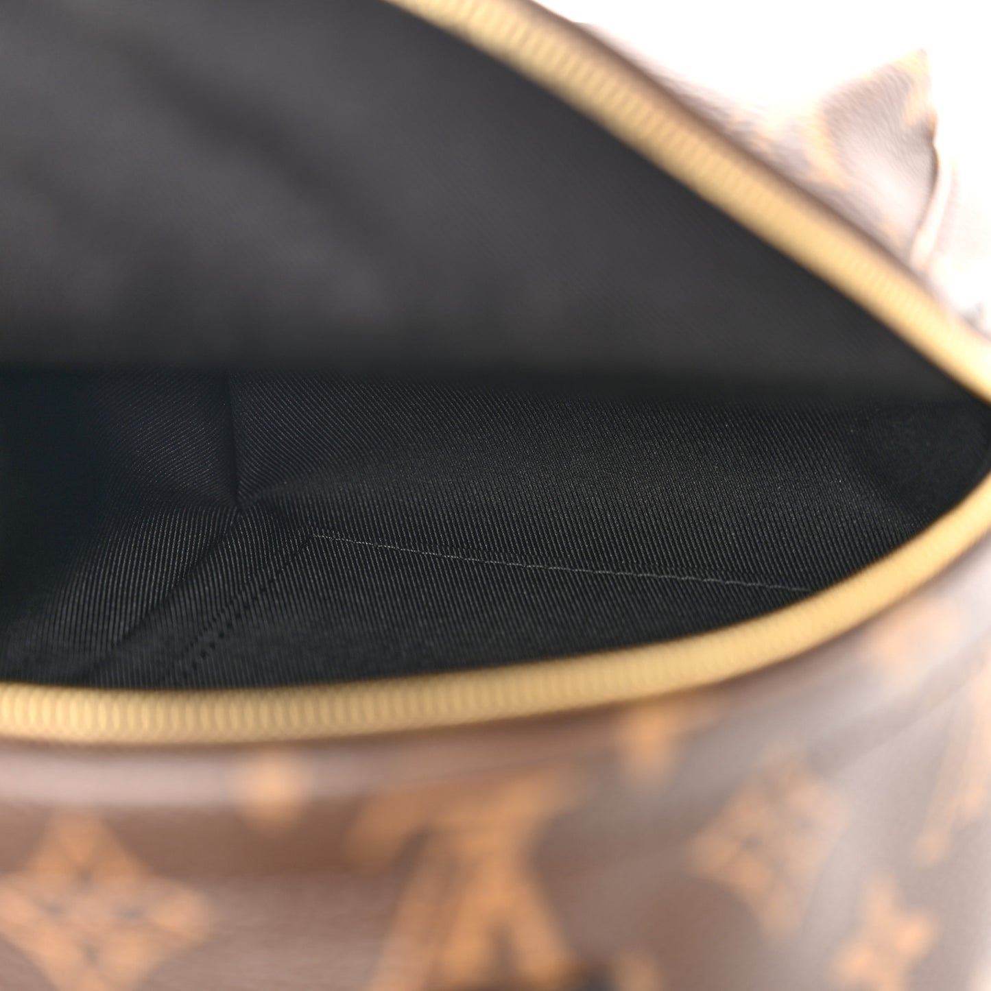 Monogram Palm Springs Backpack Mini