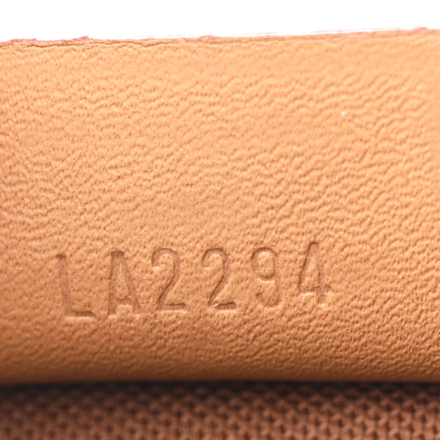 Monogram Nano Speedy Bandouliere