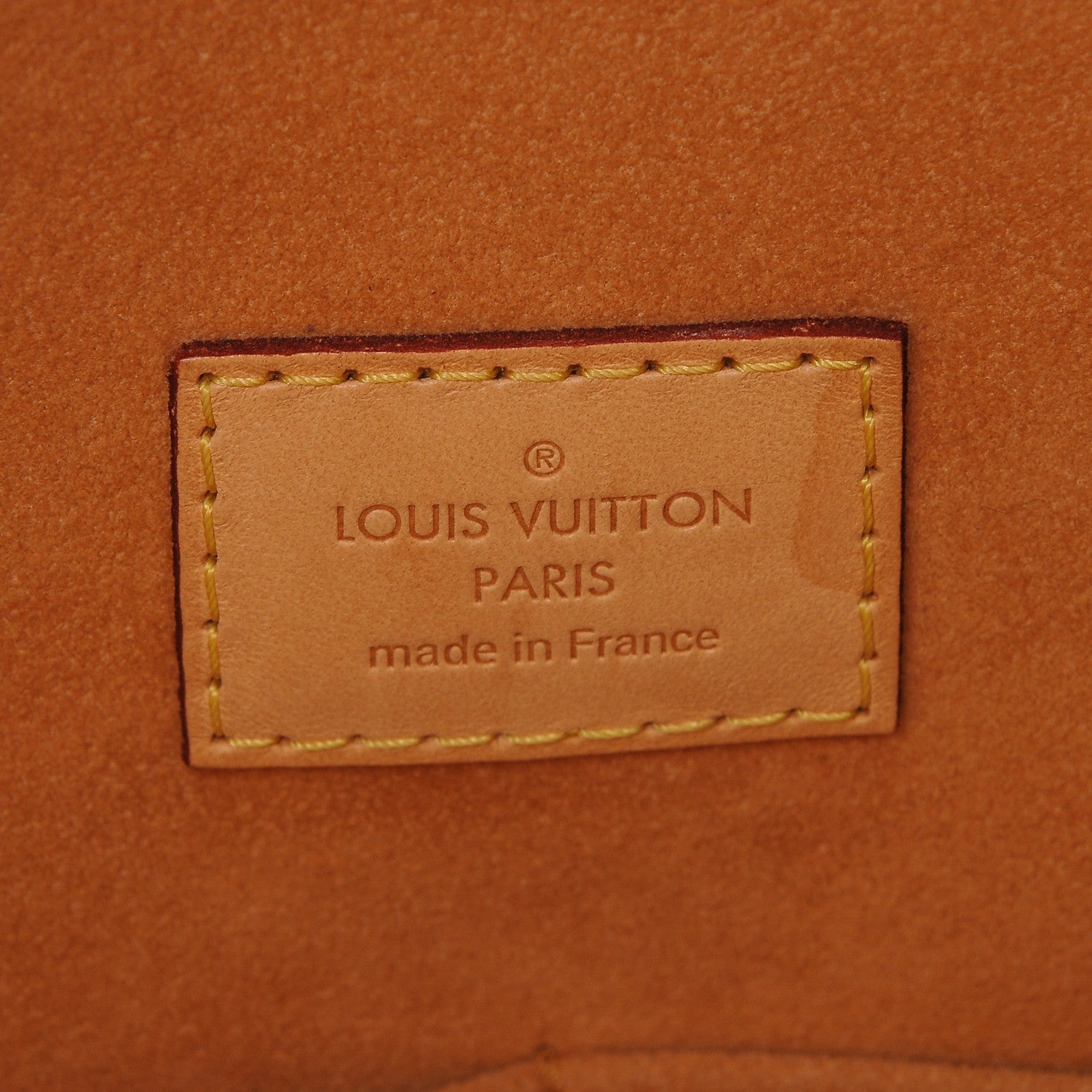Louis Vuitton Monogram Gaia Epice 6 of 6