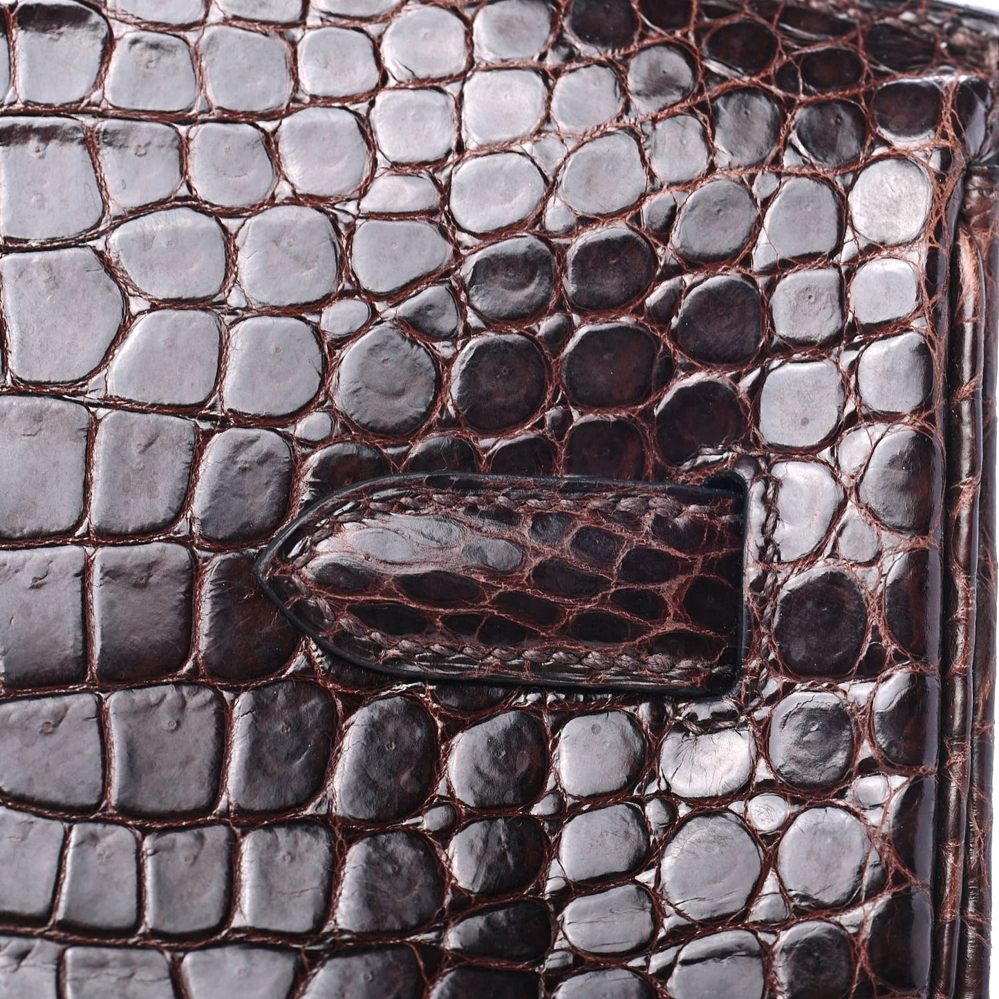 Shiny Porosus Crocodile Birkin 35 Cocoan