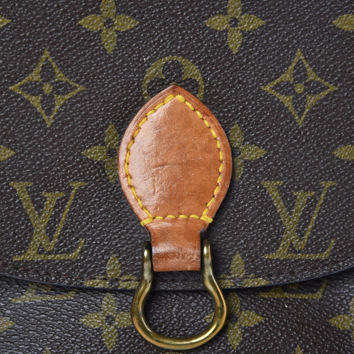Monogram Saint Cloud PM