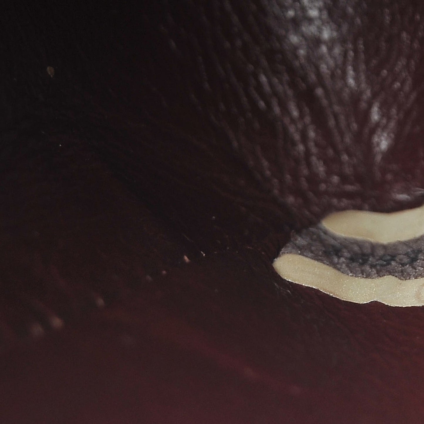 Lambskin Quilted Mini Square Flap Black