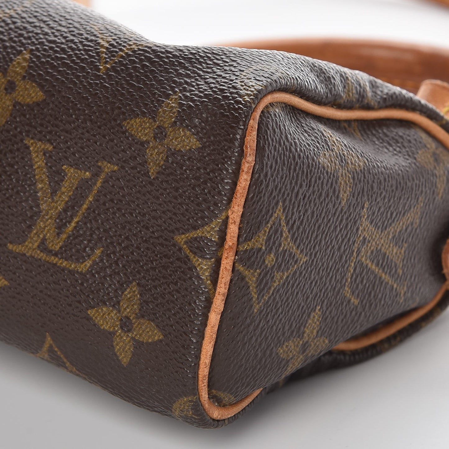 Monogram Mini Sac HL Speedy