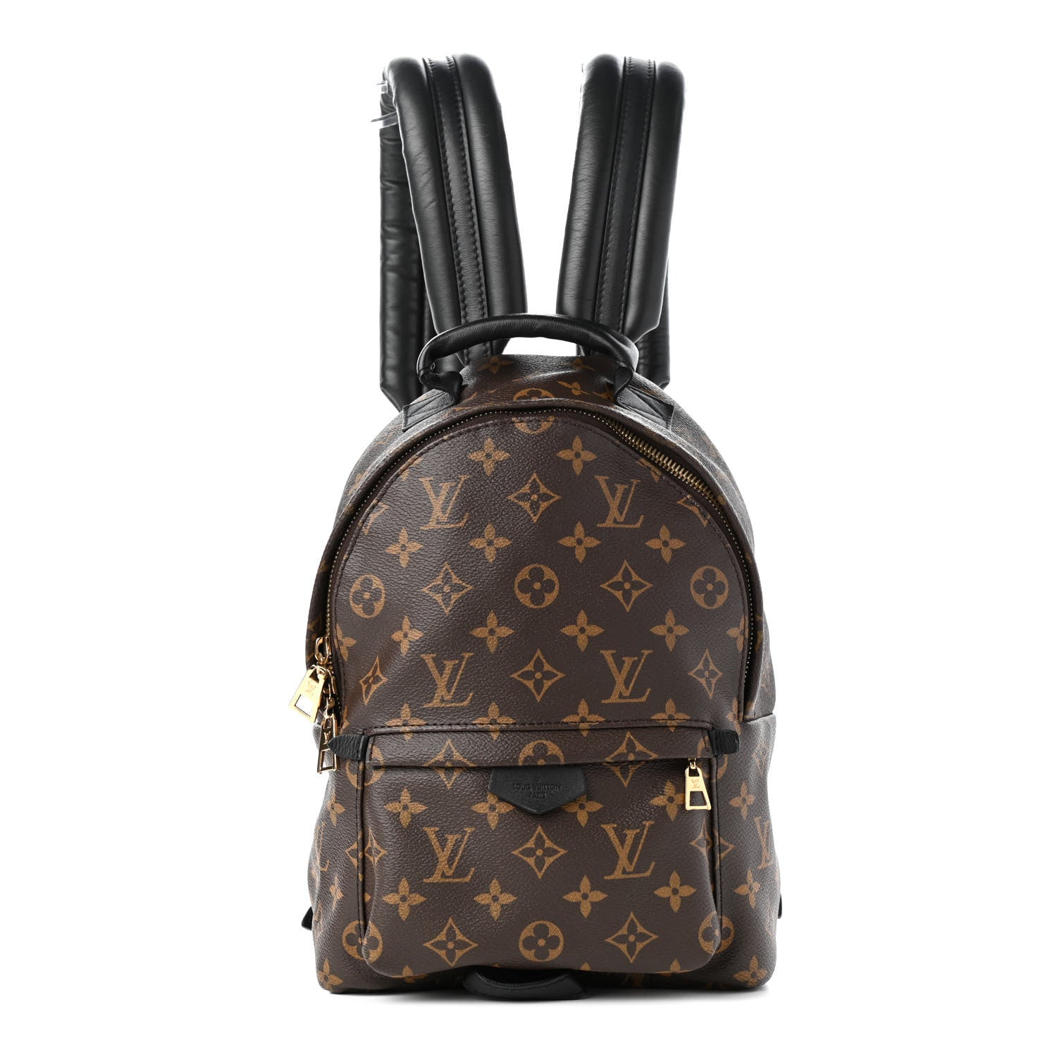 Louis Vuitton Monogram Palm Springs Backpack PM 1 of 5