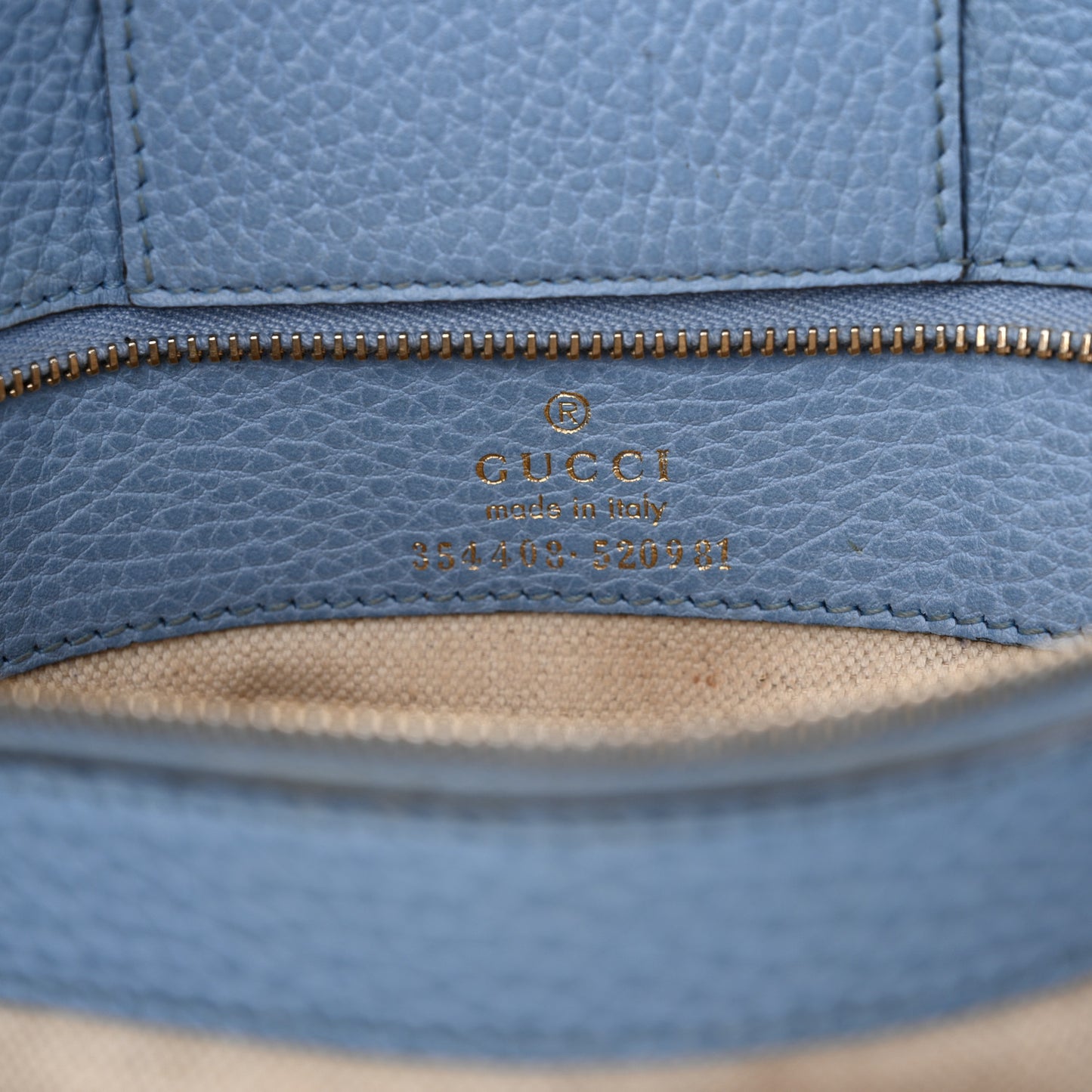 Dollar Calfskin Small Swing Tote Camelia Mineral Blue