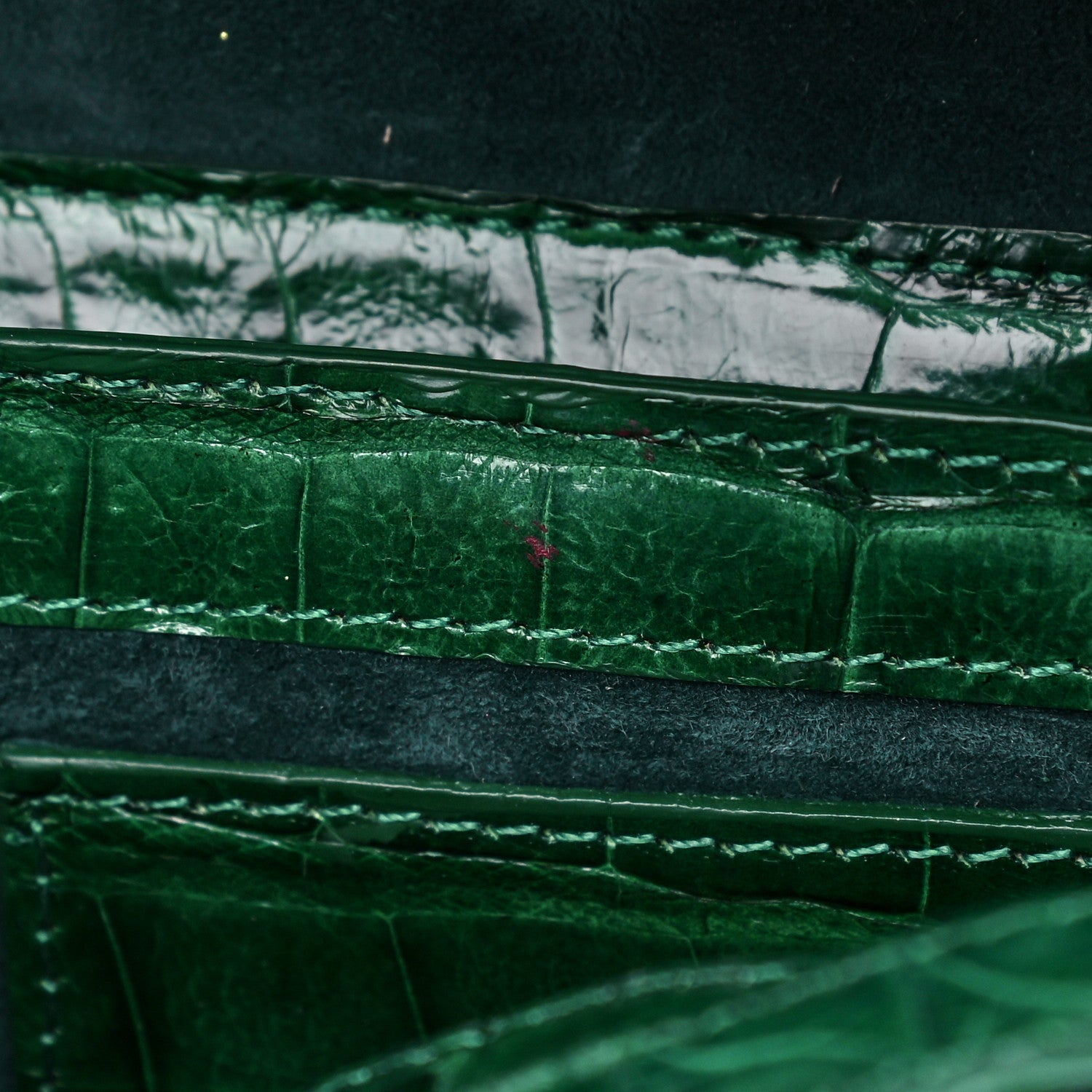 Nancy Gonzalez Crocodile Amour Clutch Green 16 of 16