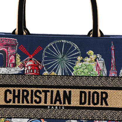 Christian Dior Raffia Souvenir Embroidered Medium Book Tote Blue Natural Multicolor 8 of 10