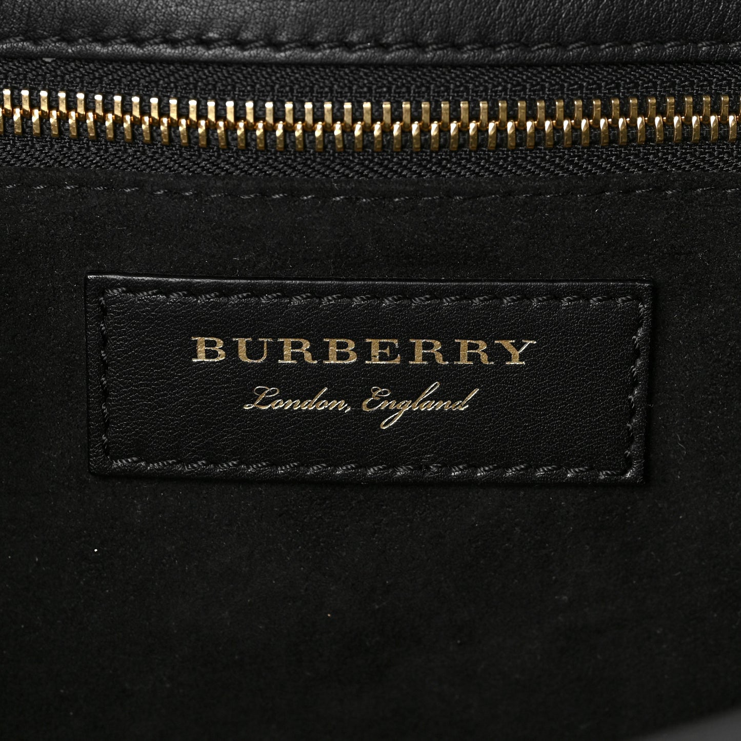 Suede Calfskin Watersnake Medium Buckle Tote Black Gold
