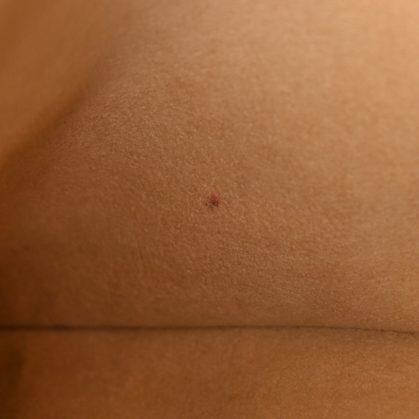 Monogram Pallas Shopper Dune