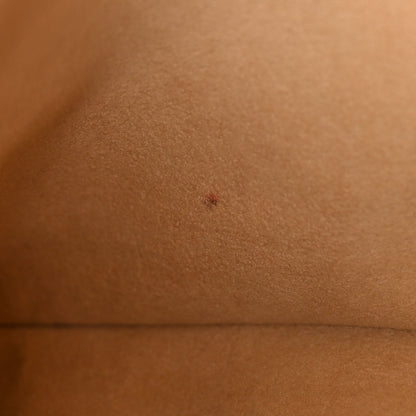 Louis Vuitton Monogram Pallas Shopper Dune 10 of 10