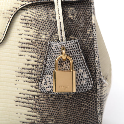 Celine Lizard Small 16 Top Handle Bag Natural 11 of 11