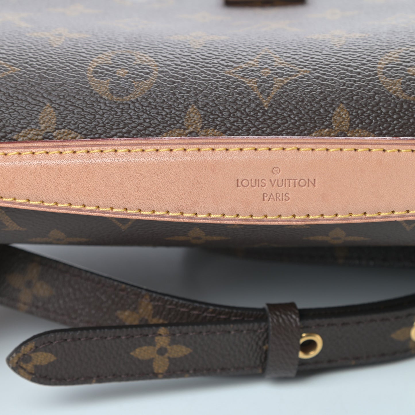 Monogram Pochette Metis