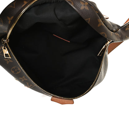 Louis Vuitton Monogram Bumbag 5 of 12