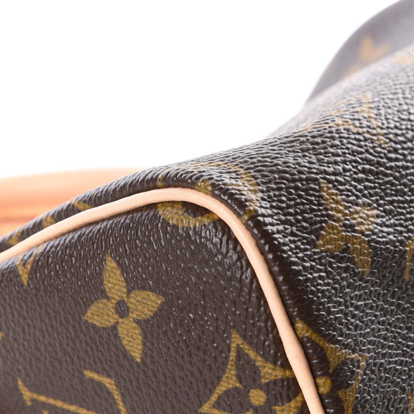 Monogram Mini Sac HL Speedy