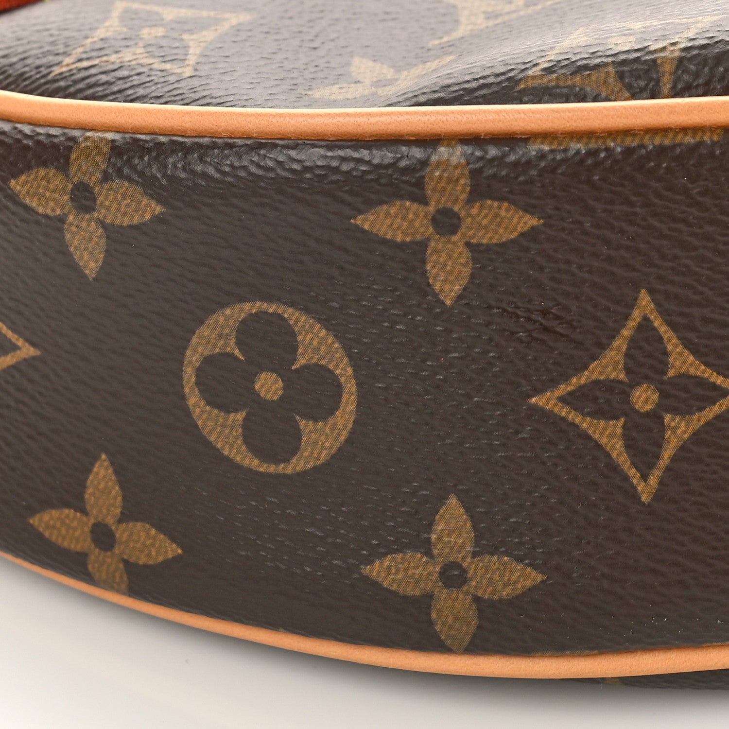 Louis Vuitton Monogram Loop 7 of 8