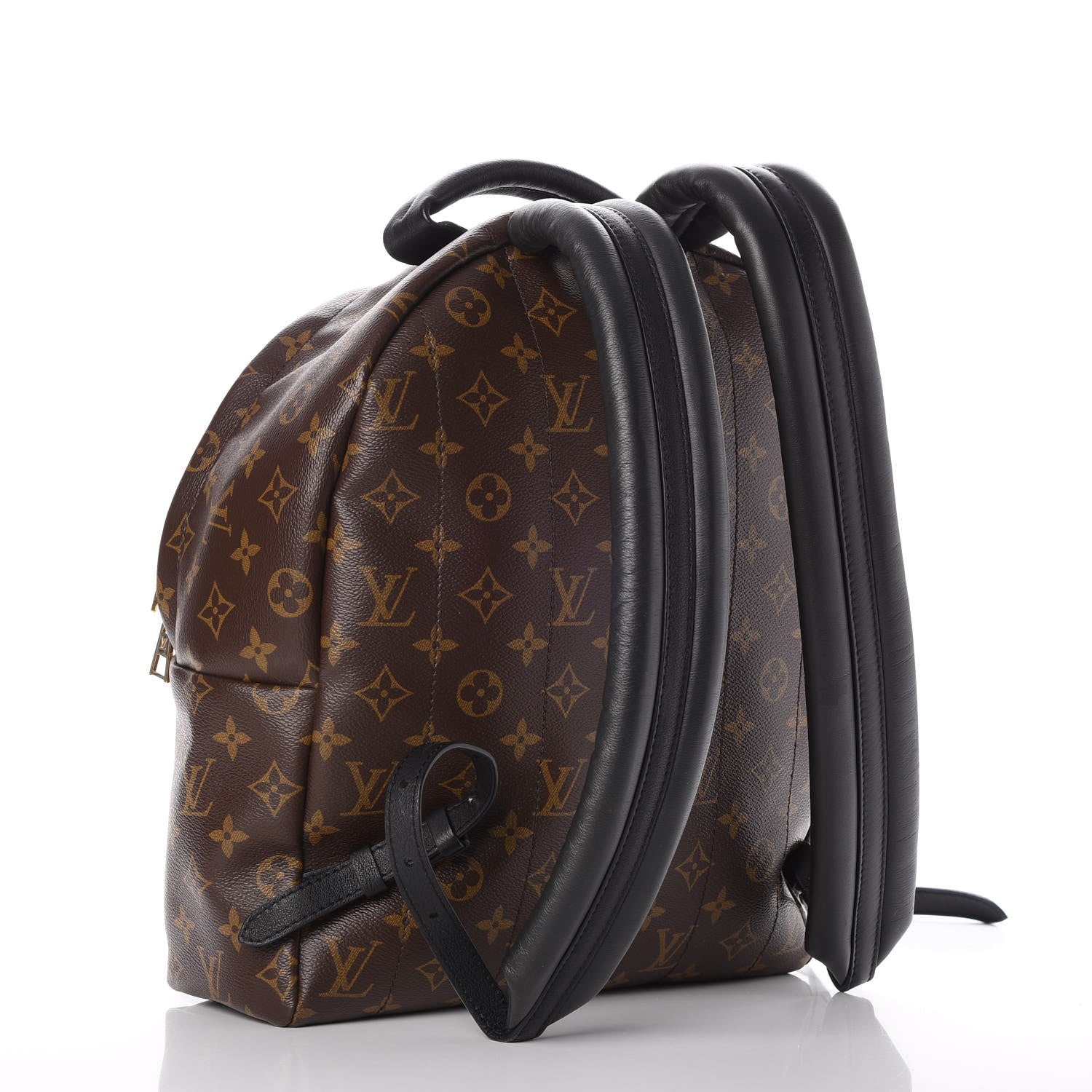 Louis Vuitton Monogram Palm Springs Backpack MM 3 of 7