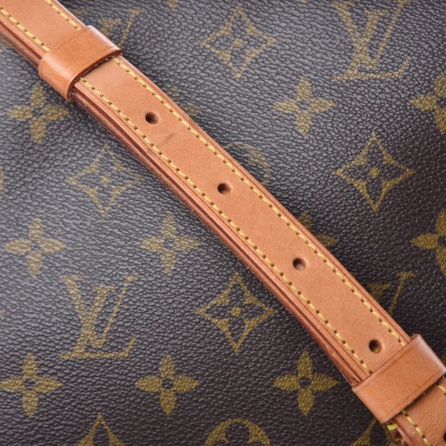 Monogram Musette Salsa
