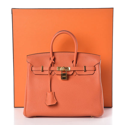 Hermes Togo Birkin 25 Feu 36 of 36
