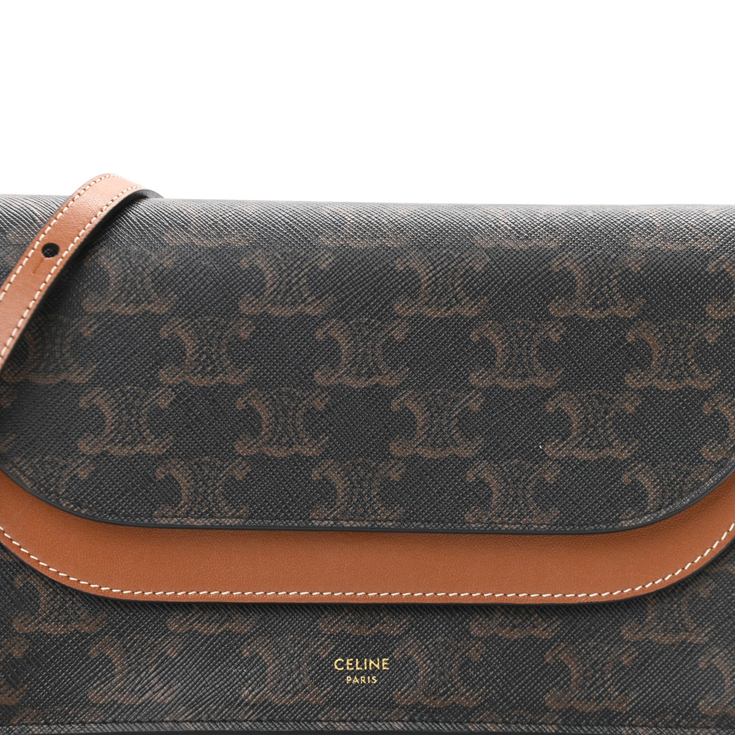 Triomphe Canvas Lambskin Wallet On Strap Tan