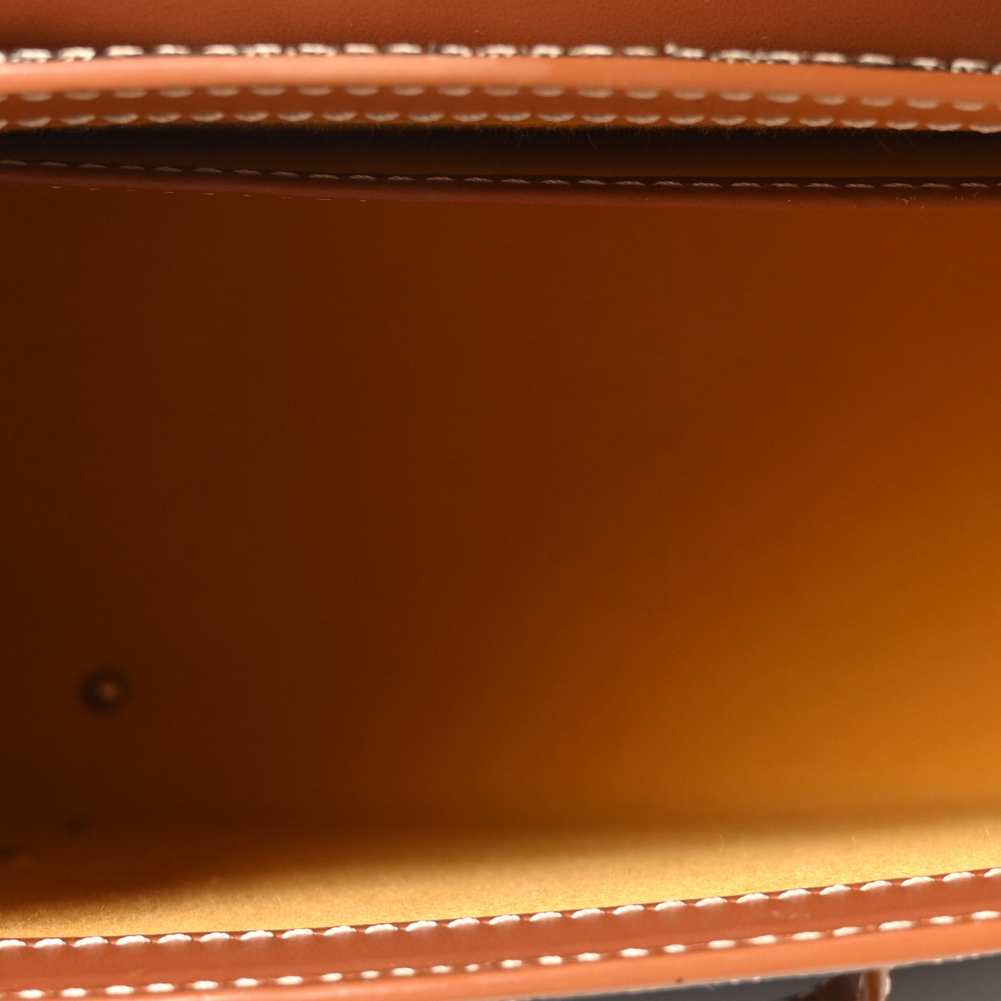 Goyardine Saigon PM Gold