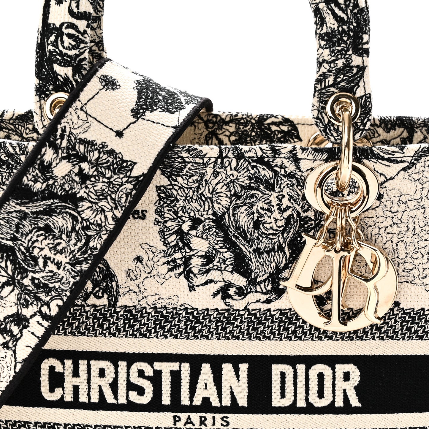Canvas Embroidered Zodiac Toile De Jouy Medium Lady D-Lite Latte