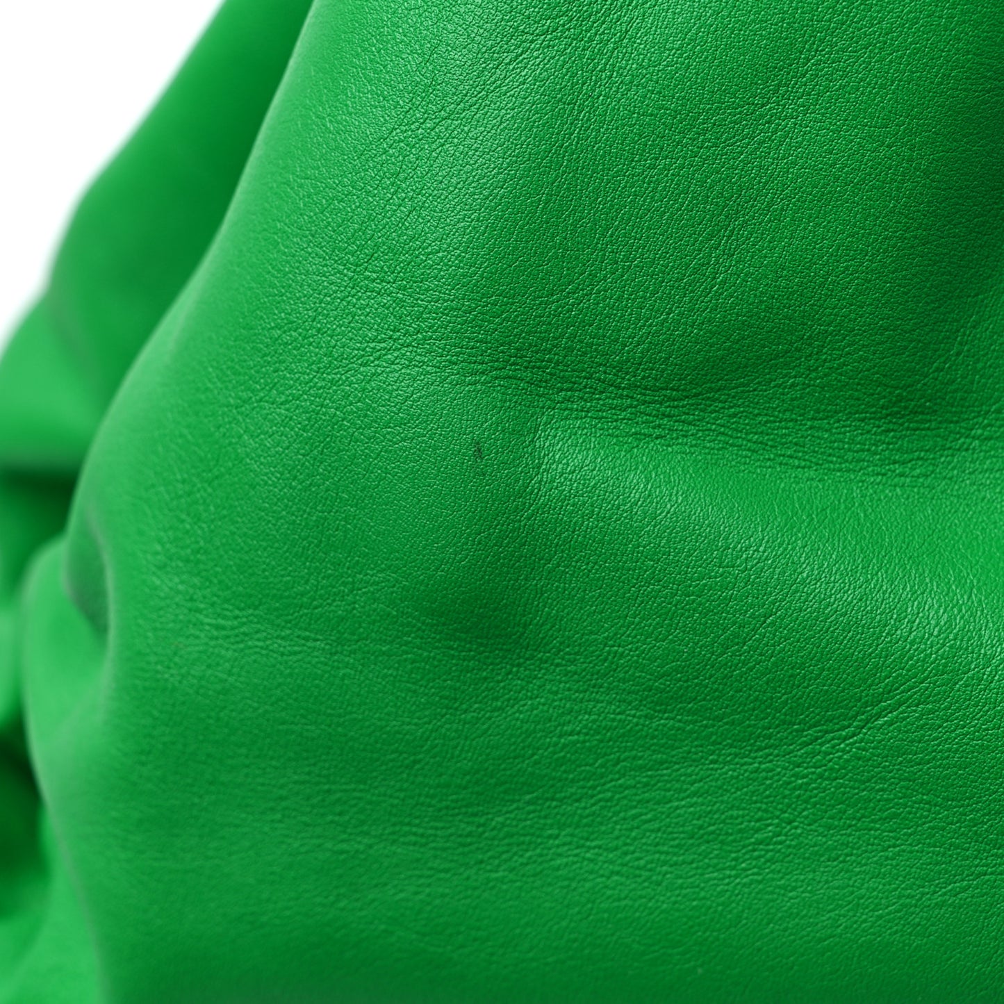 Smooth Butter Calf The Pouch Oversized Clutch Parakeet