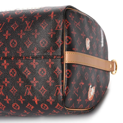 Louis Vuitton Catogram Speedy Bandouliere 30 Marron 9 of 9