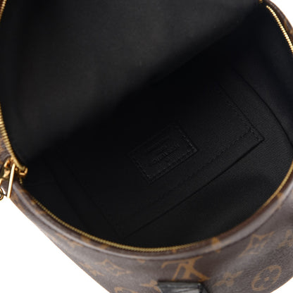 Louis Vuitton Monogram Palm Springs Backpack Mini 5 of 7