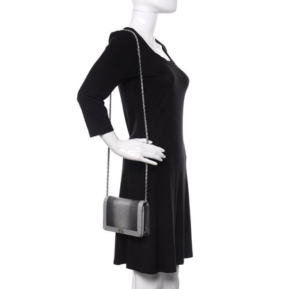 Chanel Lizard Calfskin Boy Wallet on Chain WOC Black Silver 2 of 12