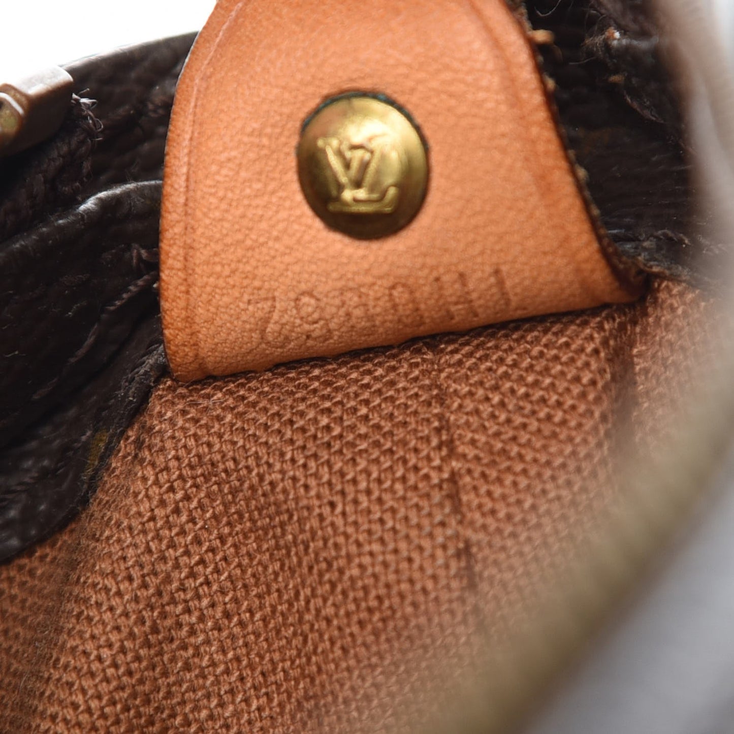 Monogram Cabas Mezzo