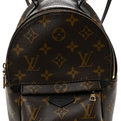 Louis Vuitton Monogram Palm Springs Backpack Mini 7 of 9