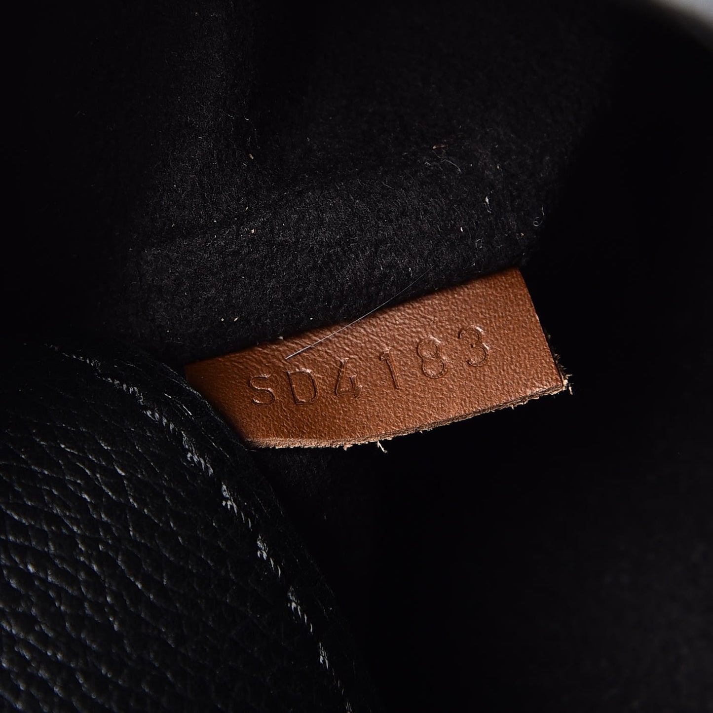 Monogram Pallas Black