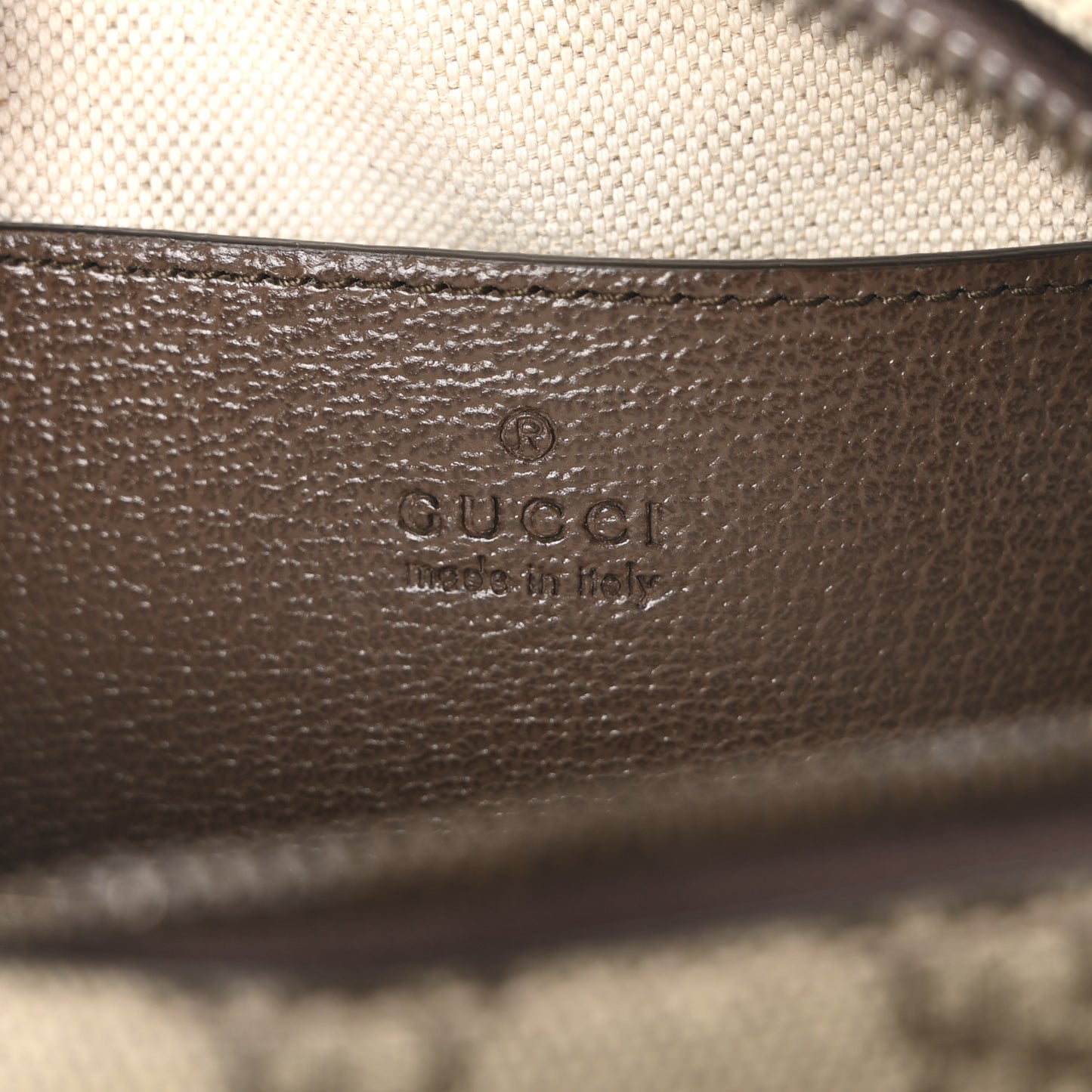 GG Supreme Monogram Web Mini Ophidia Messenger Brown