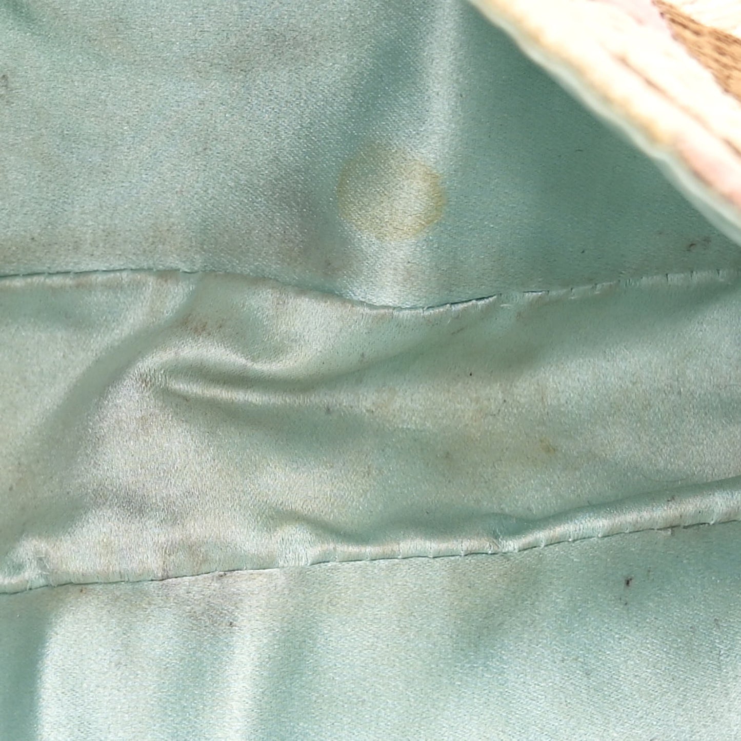 Fabric Lizard Crystal Embroidered Baguette Celeste