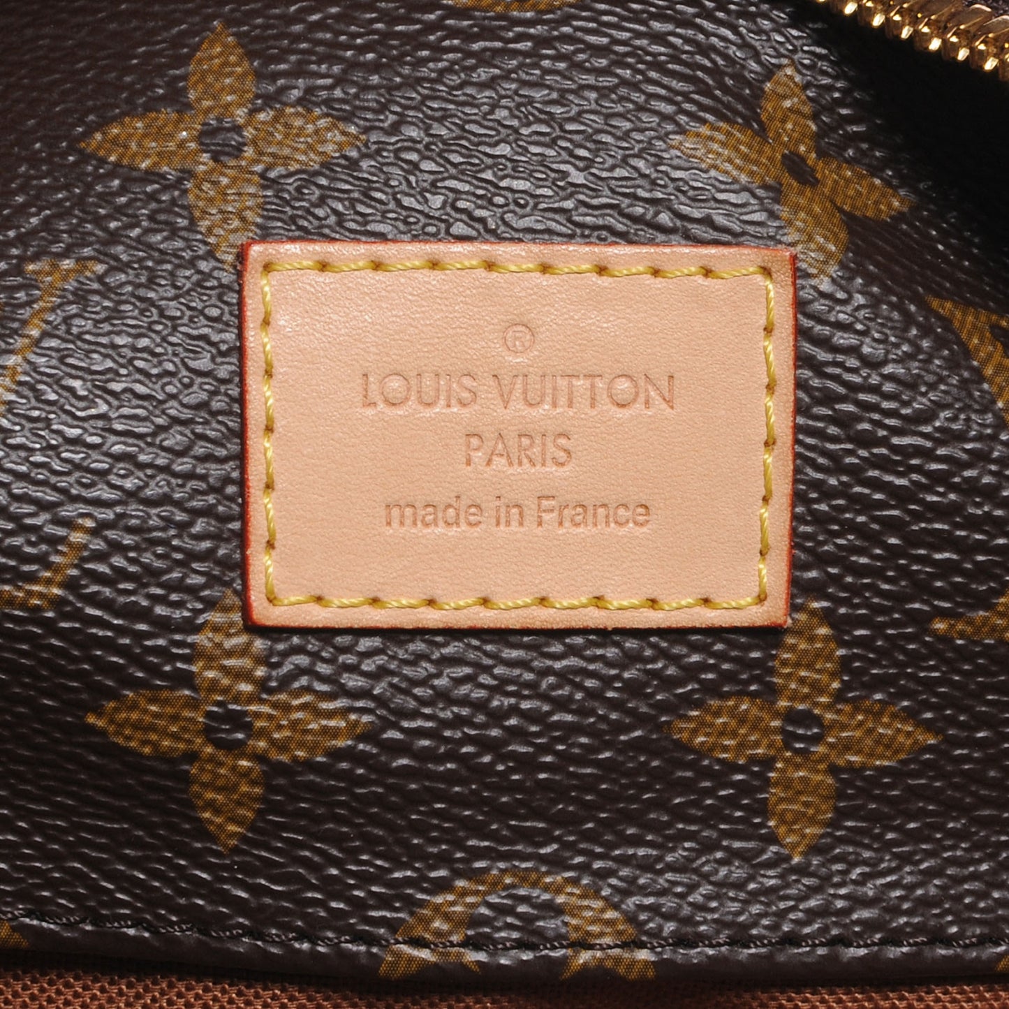 Monogram Sully MM