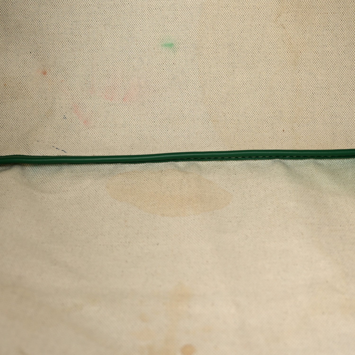 Goyard Goyardine Saint Louis PM Green 15 of 15