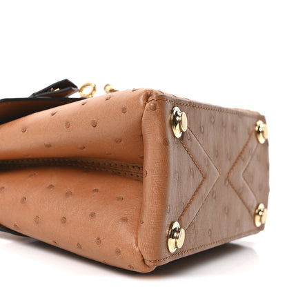 Louis Vuitton Ostrich Rose Des Vents Mini Cognac 9 of 11