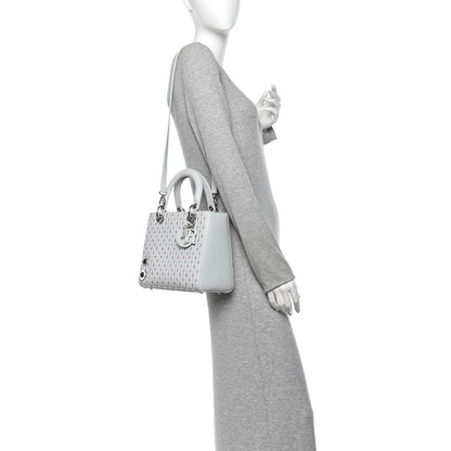 Christian Dior Embroidered Applique Medium Lady Dior Light Blue Multicolor 2 of 13