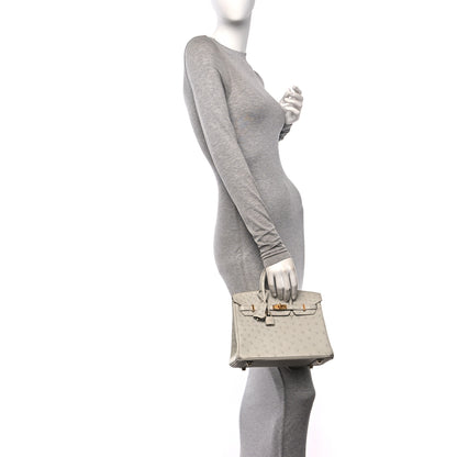 Hermes Ostrich Birkin 25 Gris Perle 2 of 11