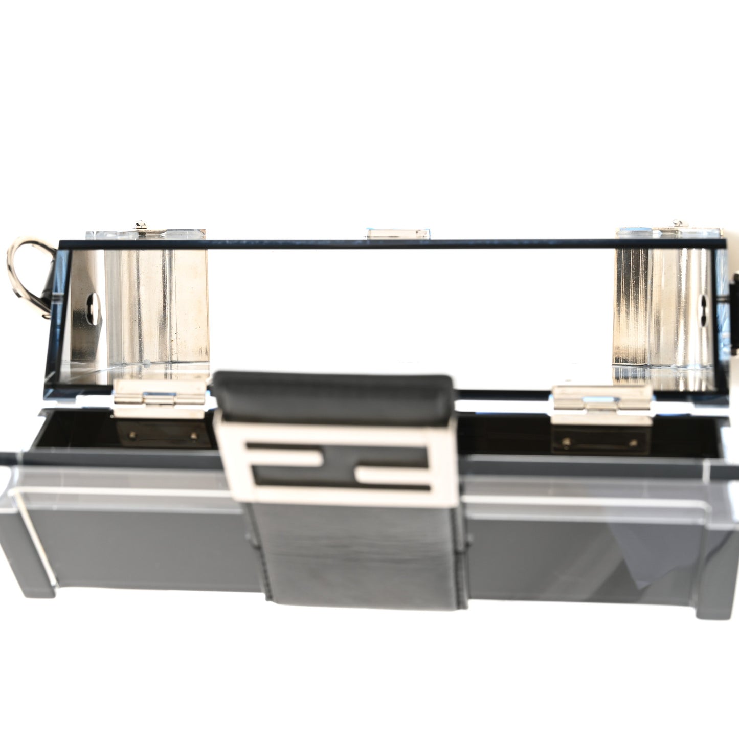 Plexiglass Vitello Mini Baguette Trunk Black Transparent