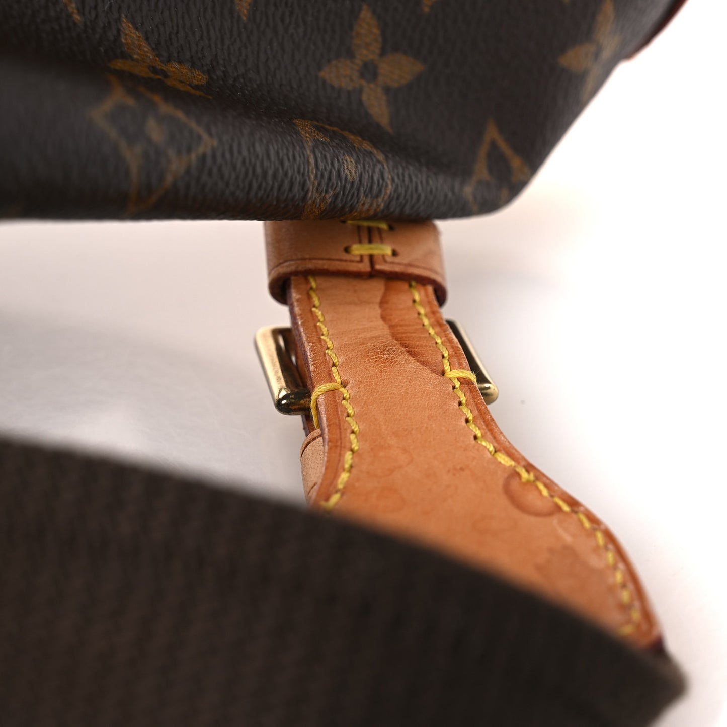 Monogram Montsouris GM Backpack