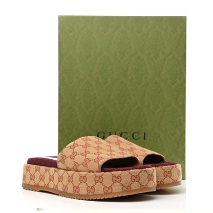 Gucci Canvas GG Monogram Angelina Platform Slide Sandals 41 Beige Ruggine 12 of 12