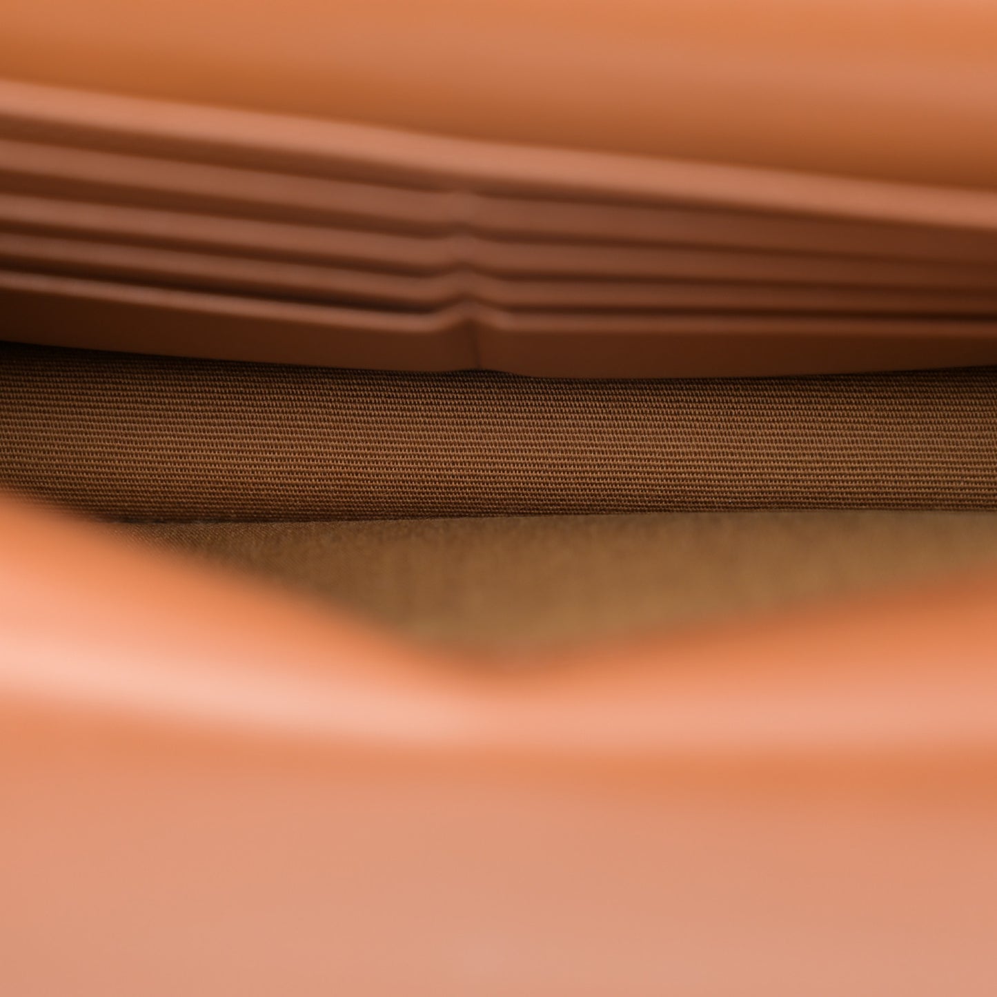 Triomphe Canvas Lambskin Wallet On Strap Tan