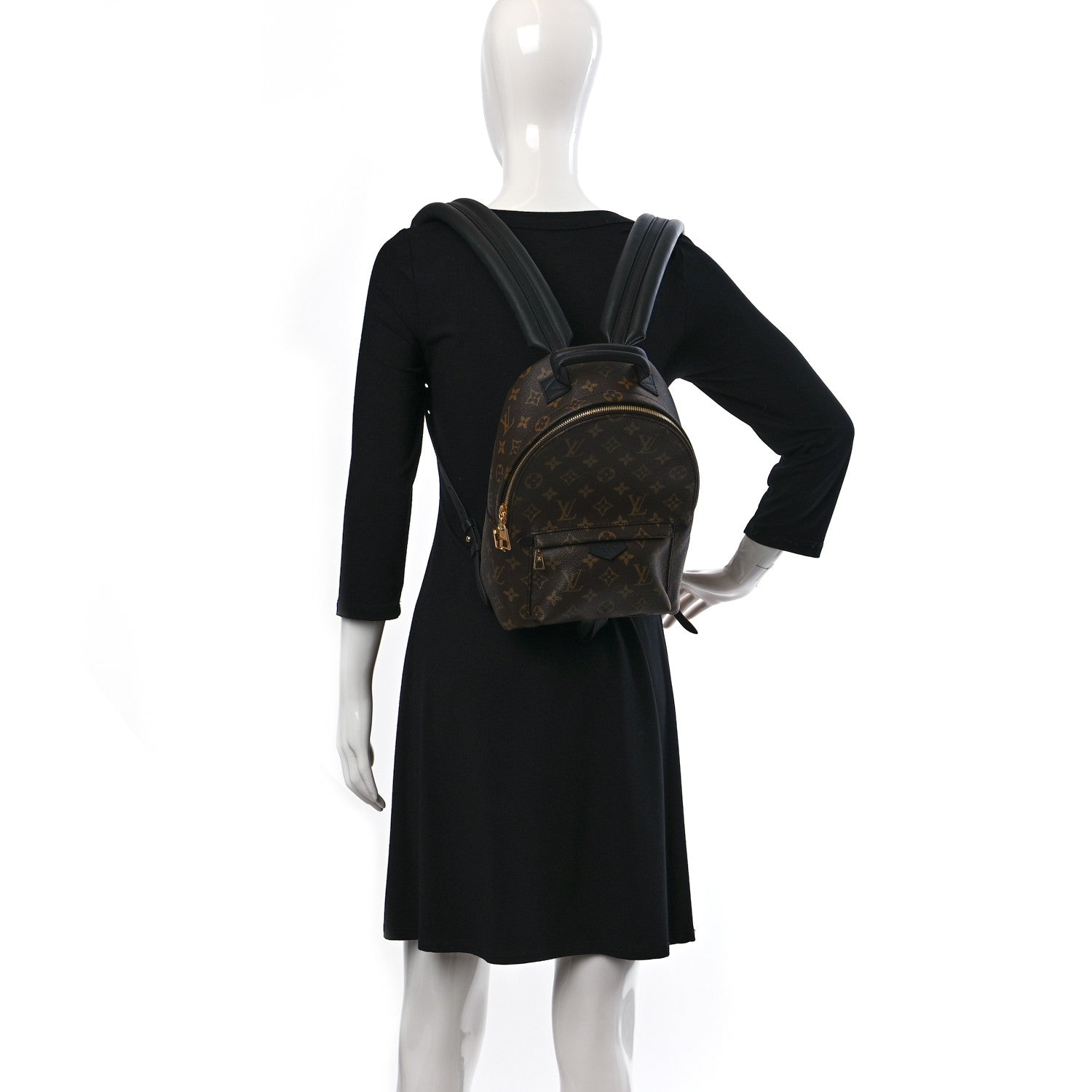 Louis Vuitton Monogram Palm Springs Backpack PM 2 of 8