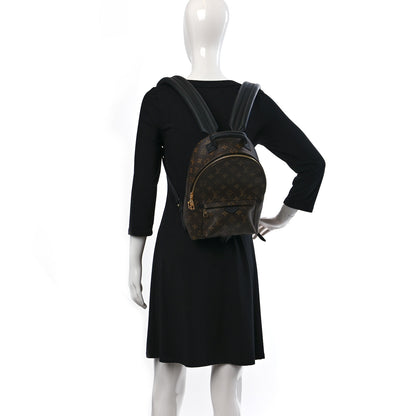 Louis Vuitton Monogram Palm Springs Backpack PM 2 of 8