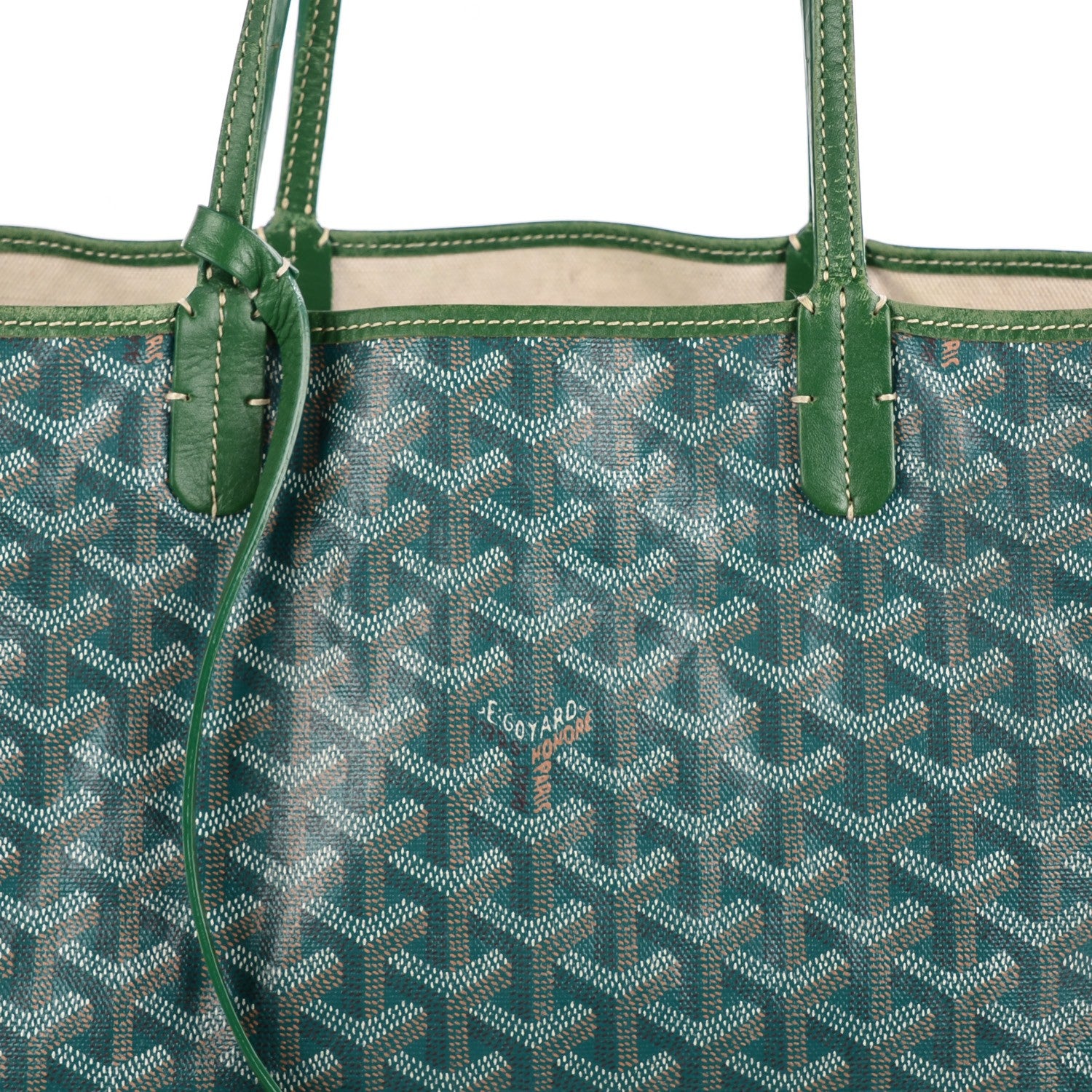 Goyard Goyardine Saint Louis PM Green 9 of 9