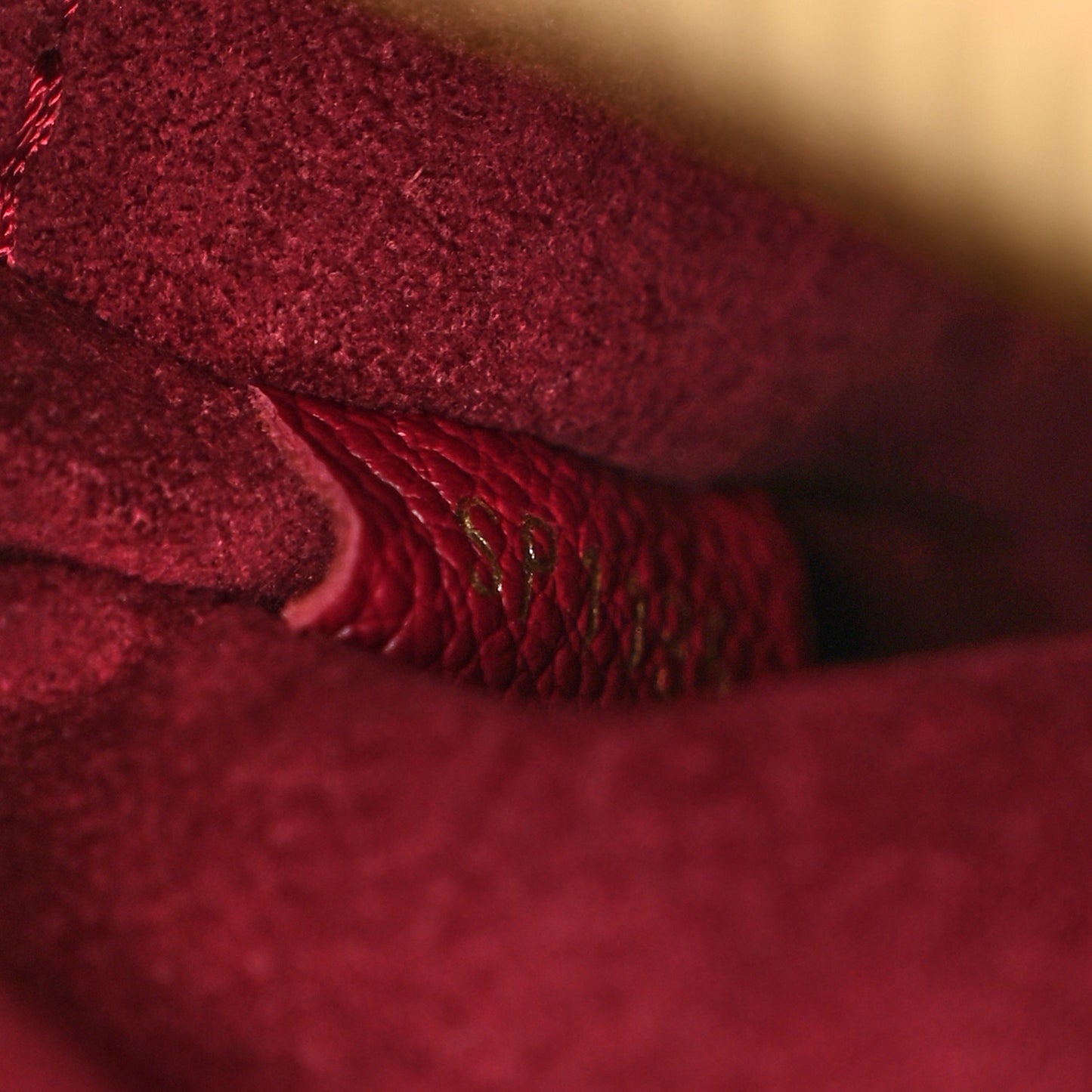 Monogram Alma BNB Raisin